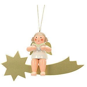 Angels Other Angels Angel on Star - 32,0 cm / 13 inch