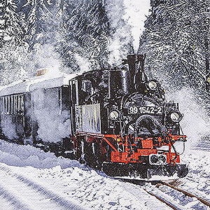 Small Figures & Ornaments Mugs & Napkins Napkins Pressnitz Valley Railway - 20 pcs. - 33 cm / 13 inch