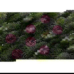 Christbaumkugeln in Spanschachtel beere - 11,5 cm