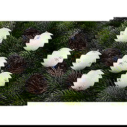 Christbaumkugeln in Spanschachtel wei - 13 cm