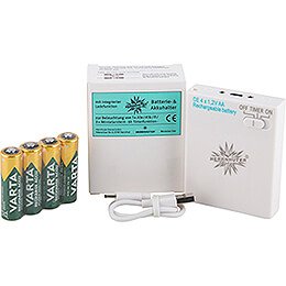 Batteriehalter mit Timer und Akku zur Beleuchtung von 1 Stern Typ Typ 029 - 00 - A1e, 029 - 00 - A1b oder 3 Sternen Typ 029 - 00 - A08