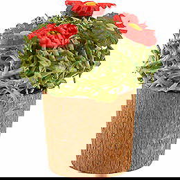 Blumentopf mit Blten - 3 cm