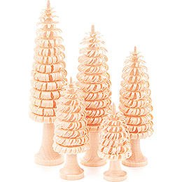 Coiled Trees with Trunk Natural - 5 pieces - 11 cm / 4.3 inch