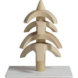 Drehbaum Twist, Weibuche - 8 cm