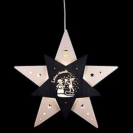 Fensterbild Stern "Leise rieselt der Schnee" Wei/Grau (mit LED)  -  29cm
