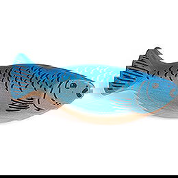 Herring  -  11,6cm / 4.6 inch
