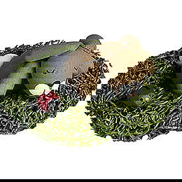 Hschen im Nest schlafend - 2,7 cm