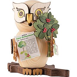 Smoker - Owl with Rowan Berry - Owl of the Year 2024 - 15 cm / 5.9 inch