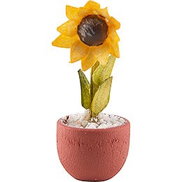 Sonnenblume im Topf  -  2,8cm