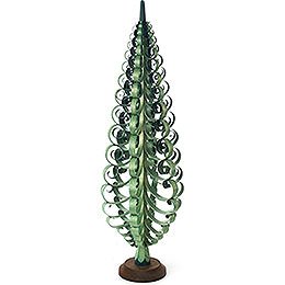 Spanbaum grün - 50 cm
